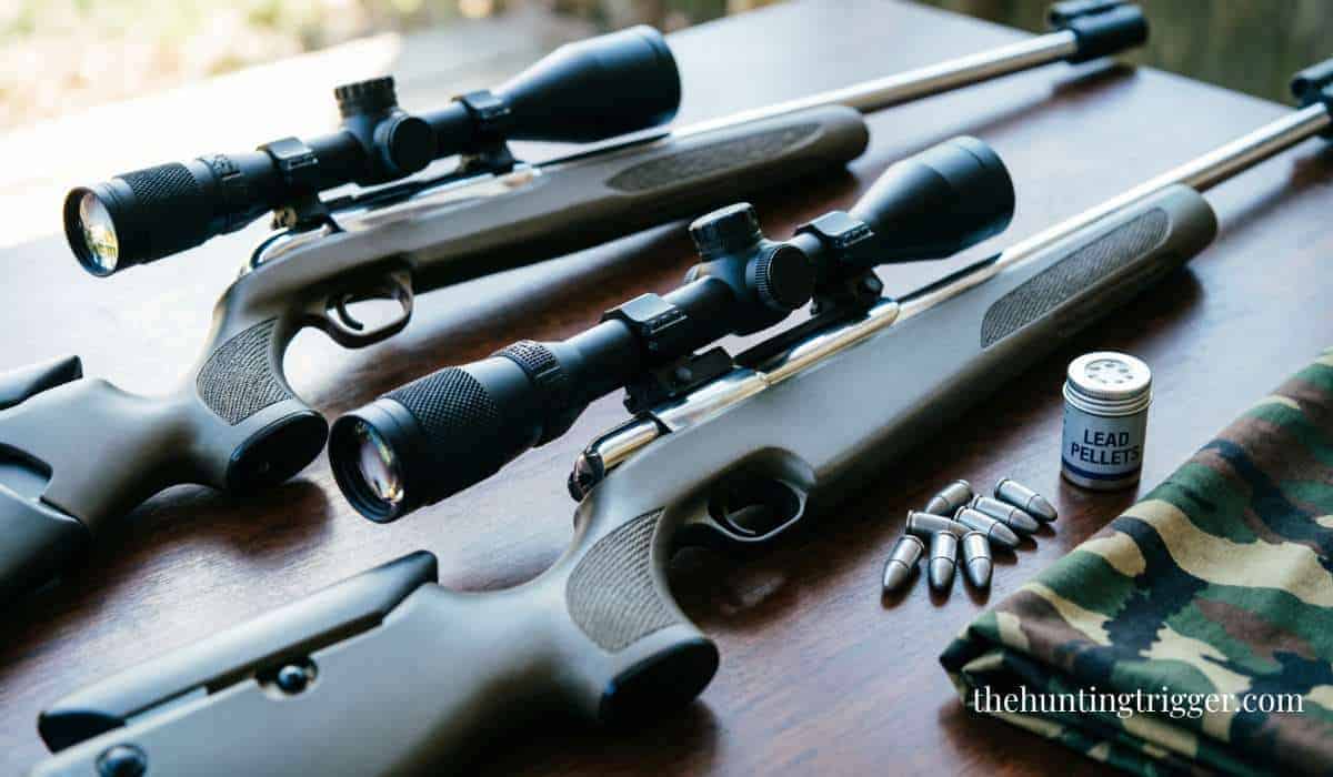 Who Makes the Best Air Rifle