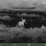 Can You Hunt With a Thermal Scope During the Day? Explained