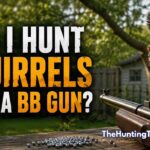 Can I Hunt Squirrels With a BB Gun? Laws, Tips, and Safety