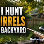 Can I Hunt Squirrels in My Backyard? Laws and Safety Tips
