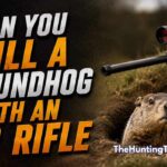 Can You Kill a Groundhog With an Air Rifle: What You Need to Know