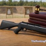 Is a BB Gun Considered a Firearm? Legal Facts Explained