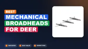 6 Best Mechanical Broadheads for Deer 2026 – Best Value to Premium