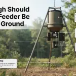 How High Should a Deer Feeder Be Off the Ground? 2026